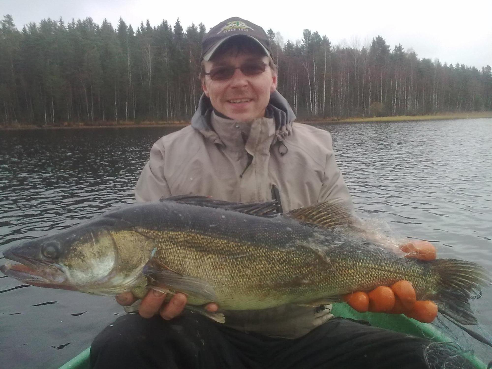 Hyvoelaen Moekit Villa Ähtäri Kültér fotó